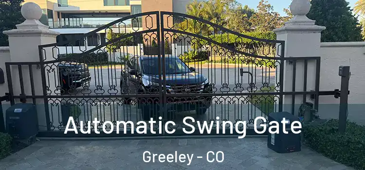  Automatic Swing Gate Greeley - CO
