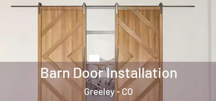  Barn Door Installation Greeley - CO