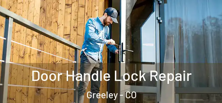  Door Handle Lock Repair Greeley - CO