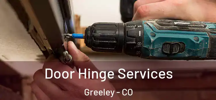 Door Hinge Services Greeley - CO