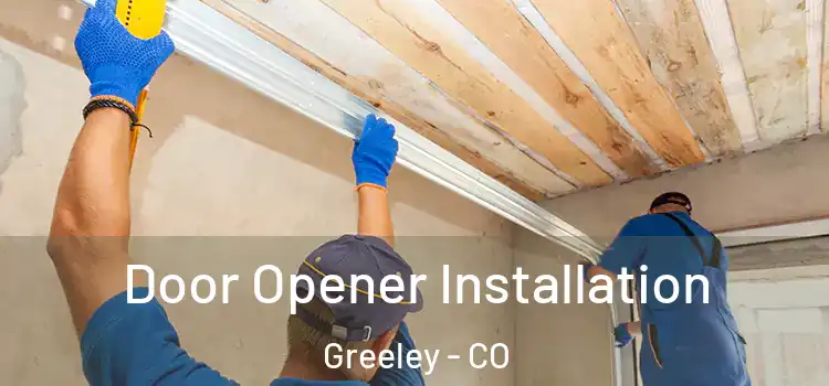 Door Opener Installation Greeley - CO