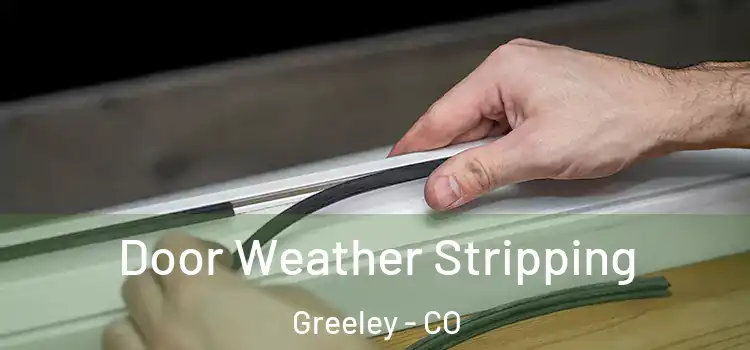  Door Weather Stripping Greeley - CO