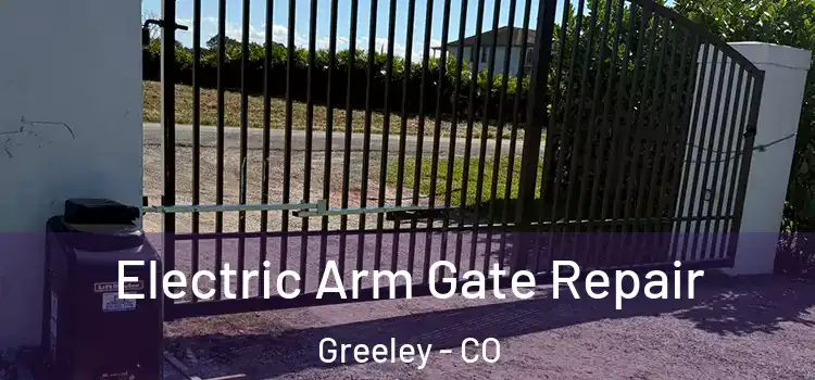  Electric Arm Gate Repair Greeley - CO
