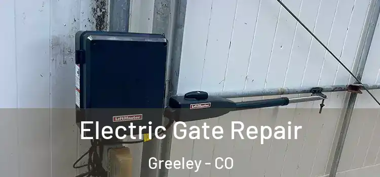 Electric Gate Repair Greeley - CO