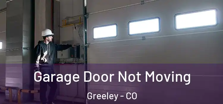  Garage Door Not Moving Greeley - CO