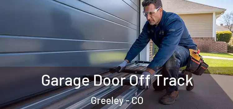  Garage Door Off Track Greeley - CO