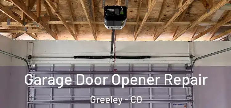  Garage Door Opener Repair Greeley - CO