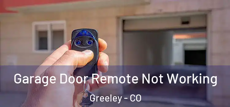  Garage Door Remote Not Working Greeley - CO