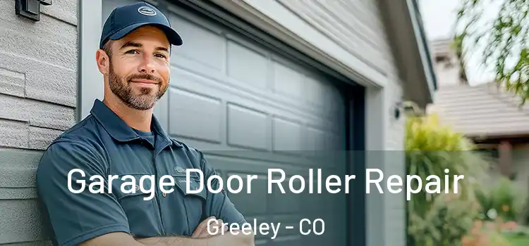  Garage Door Roller Repair Greeley - CO