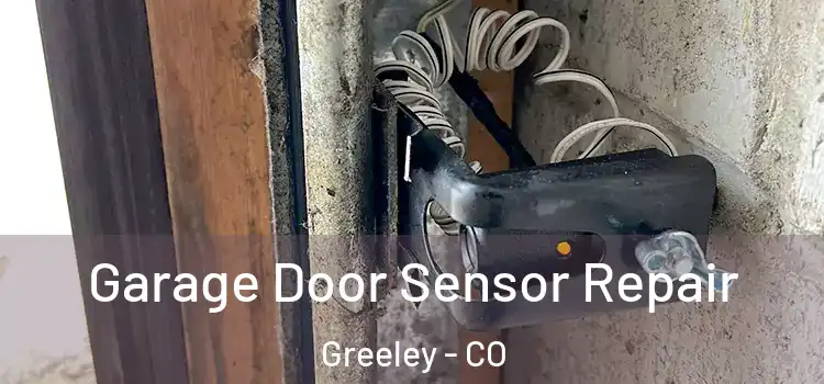  Garage Door Sensor Repair Greeley - CO