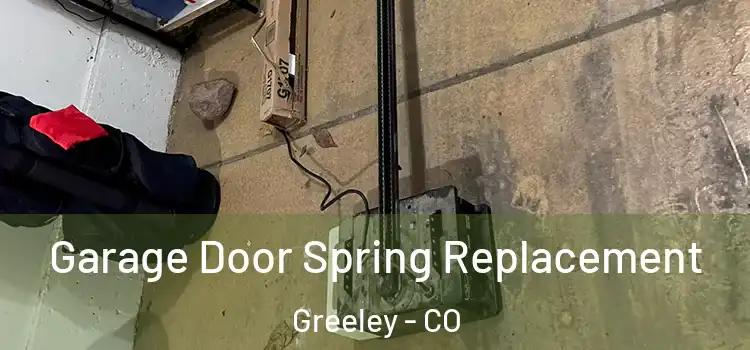  Garage Door Spring Replacement Greeley - CO