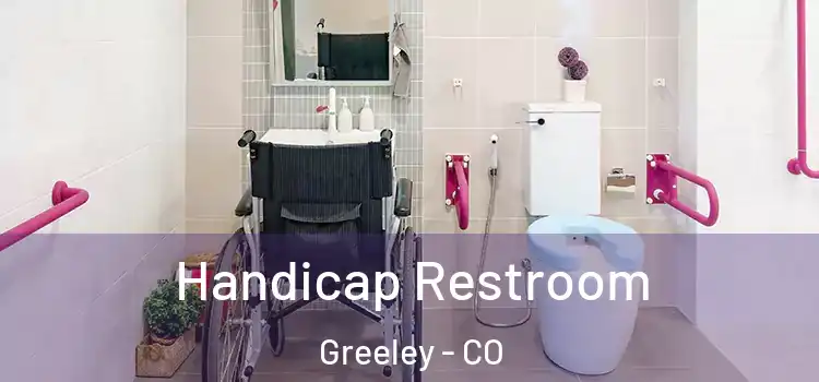  Handicap Restroom Greeley - CO