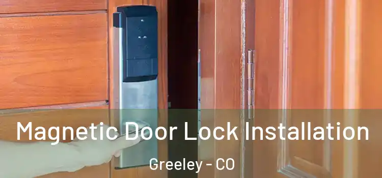  Magnetic Door Lock Installation Greeley - CO