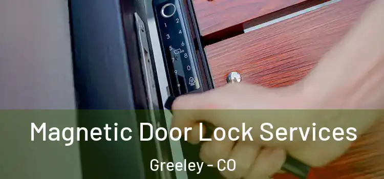  Magnetic Door Lock Services Greeley - CO