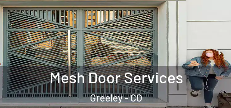 Mesh Door Services Greeley - CO