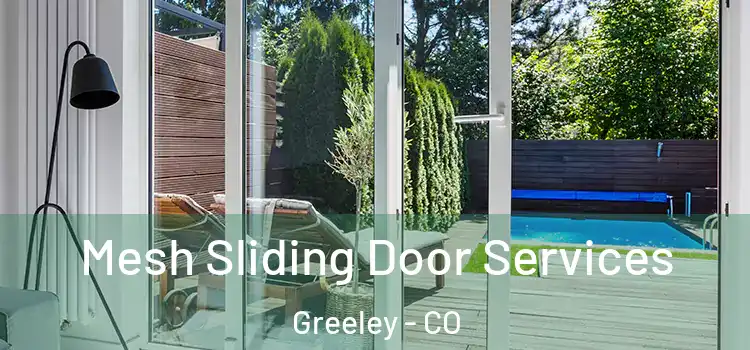 Mesh Sliding Door Services Greeley - CO