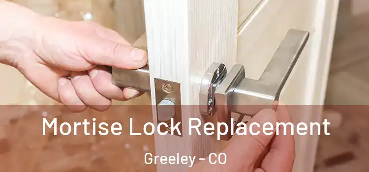 Mortise Lock Replacement Greeley - CO