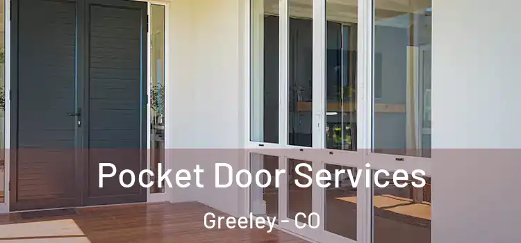 Pocket Door Services Greeley - CO