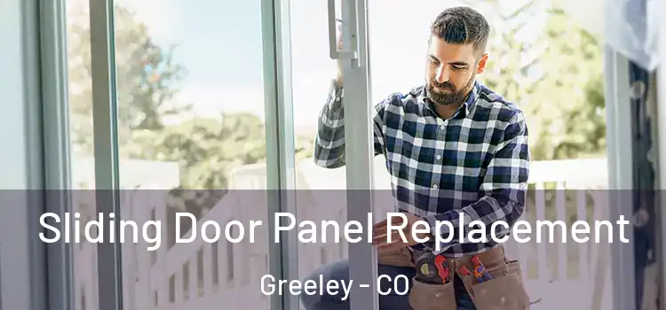  Sliding Door Panel Replacement Greeley - CO