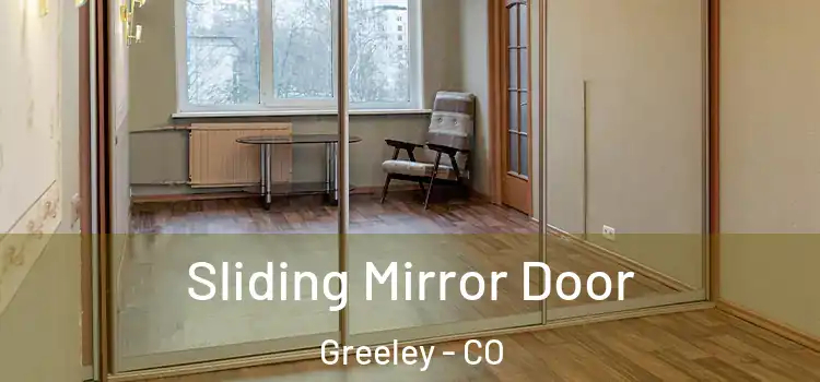  Sliding Mirror Door Greeley - CO