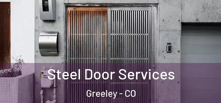 Steel Door Services Greeley - CO