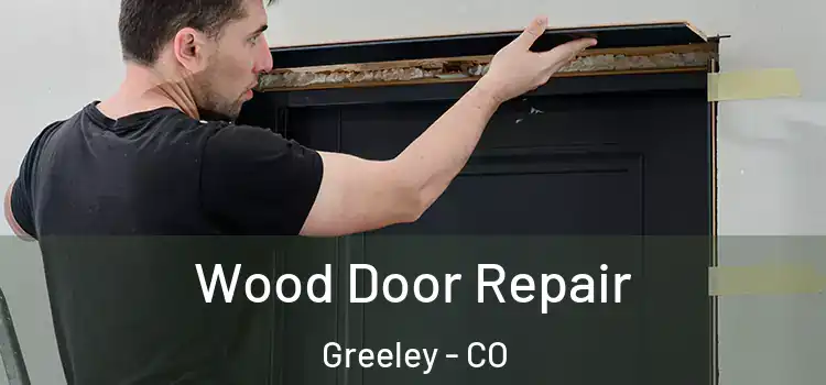 Wood Door Repair Greeley - CO